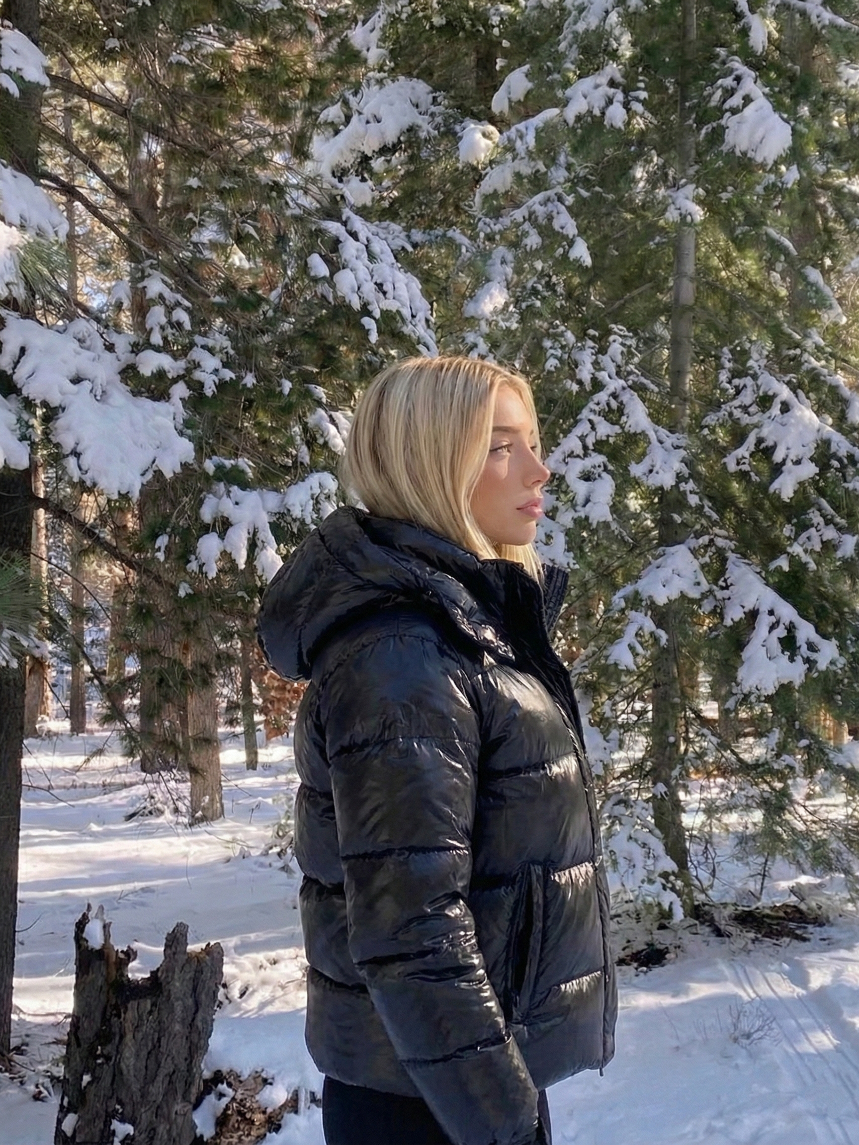 Copenhague | Doudoune à capuche brillante